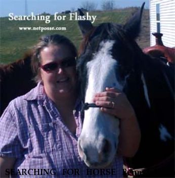 SEARCHING FOR HORSE Penny, Flashy Near Savannah, MO, 64485